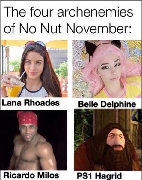 no nut november memes 2023|girls after nnn meme.